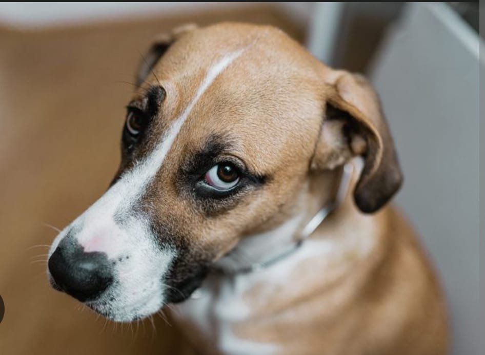 Foto de arquivo pessoal